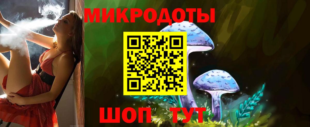 Балтийск  Псилоцибиновые грибы мицелий  Вход с VPN 