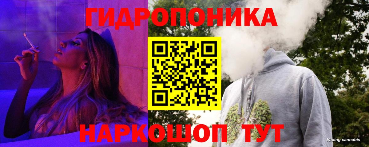 Марихуана гибрид Балтийск